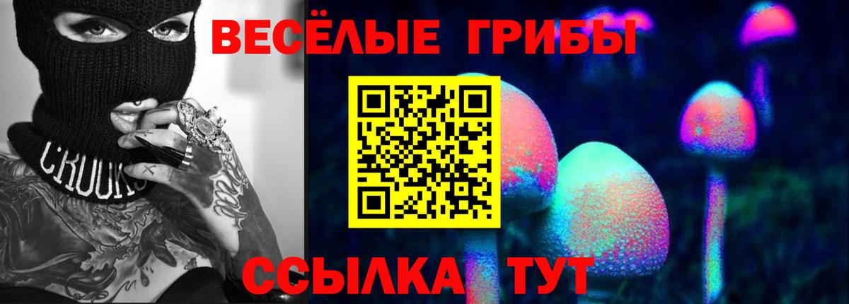 Псилоцибиновые грибы GOLDEN TEACHER  Псилоцибиновые грибы Psilocybine cubensis  Вход с VPN  Заводоуковск 